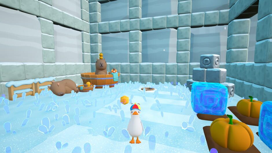 Capture de Dodo Duckie