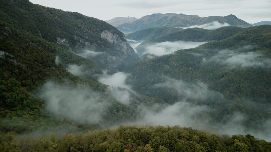 Capture de Wordless Forest