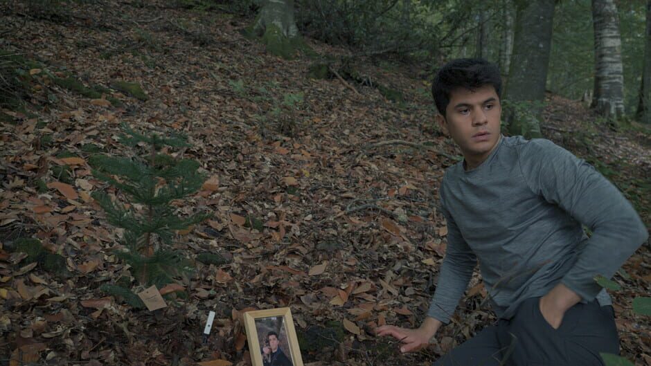 Capture de Wordless Forest