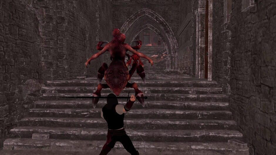 Capture de The Last Elf