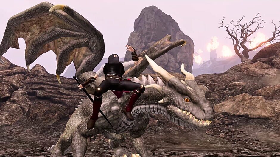 Capture de The Last Elf