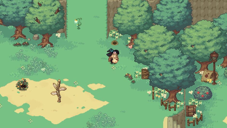 Capture de Little Witch in the Woods