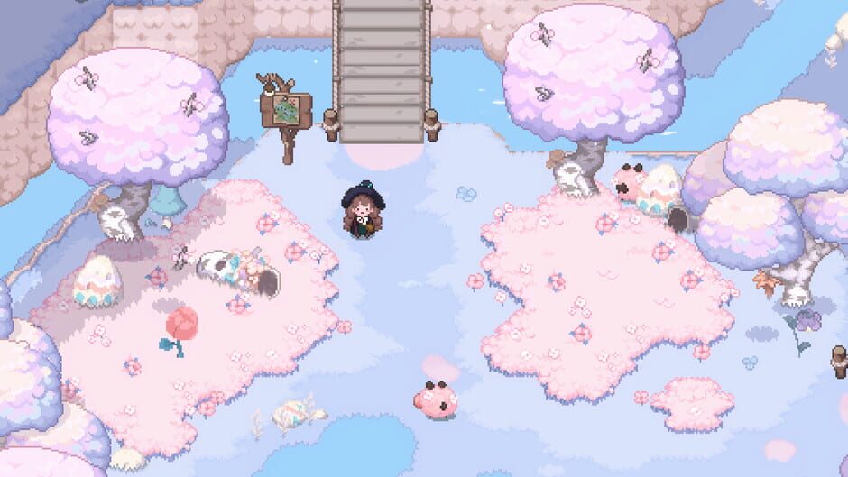 Capture de Little Witch in the Woods