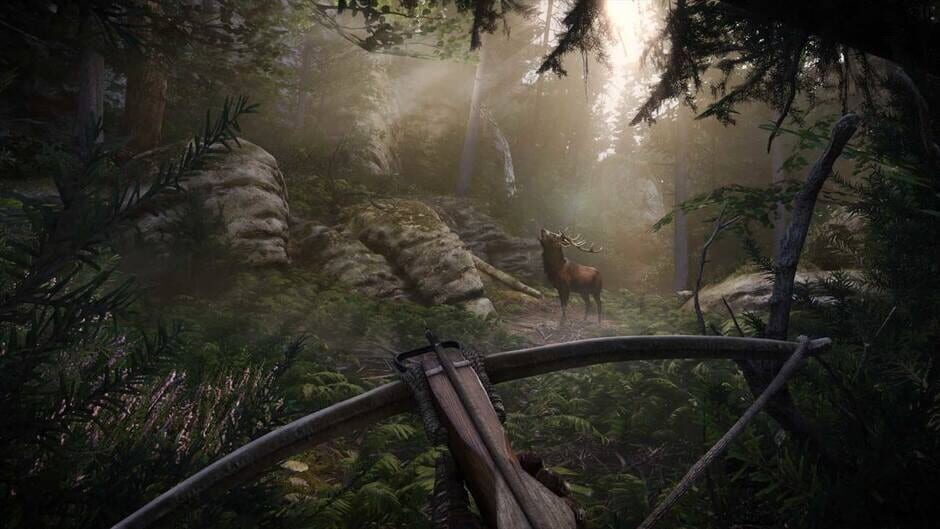 Capture de Kingdom Come: Deliverance II