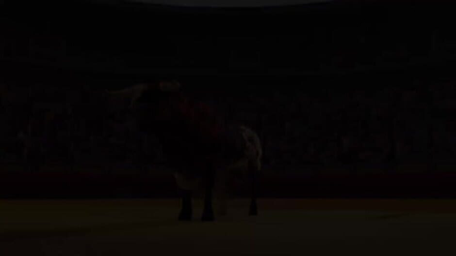 Capture de Toro 2