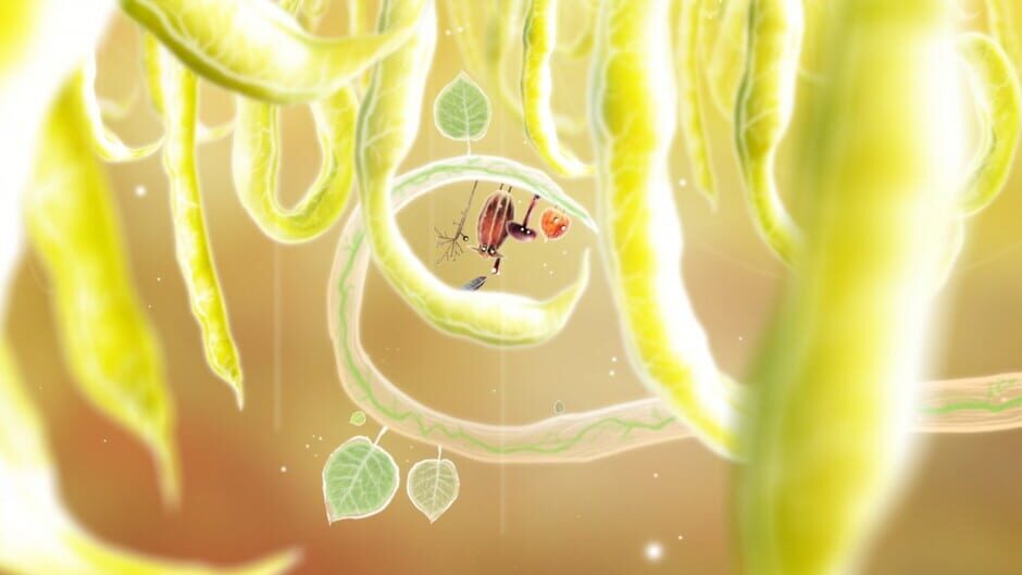 Capture de Botanicula