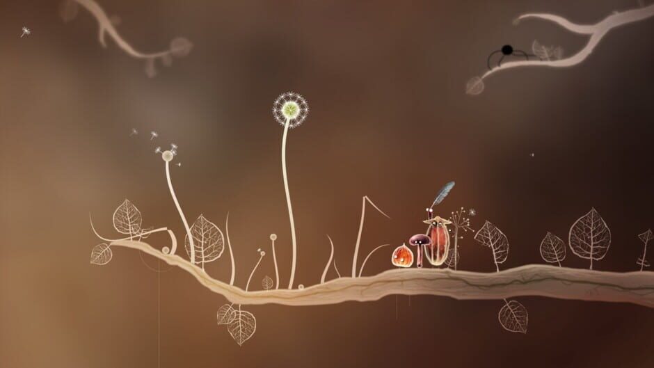 Capture de Botanicula