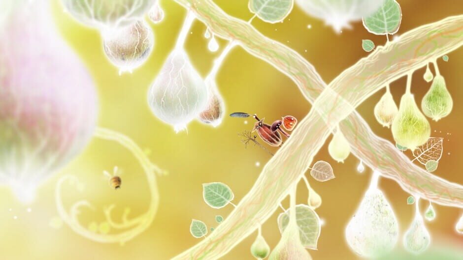 Capture de Botanicula