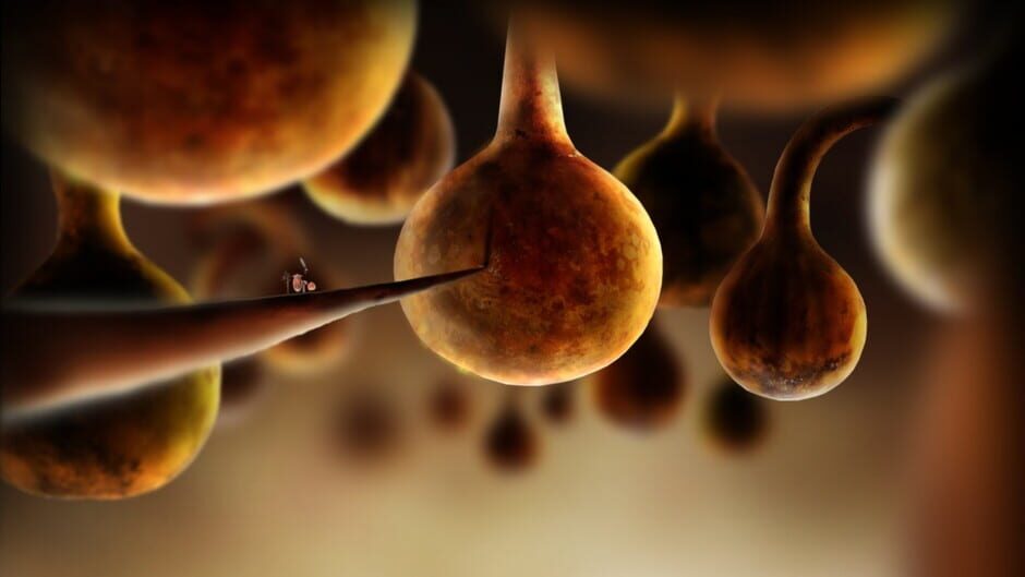 Capture de Botanicula