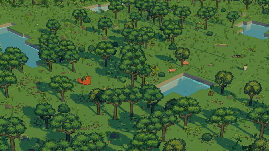 Capture de The Little Land