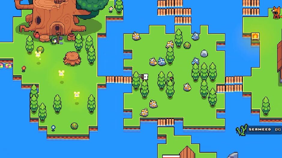 Capture de Forager