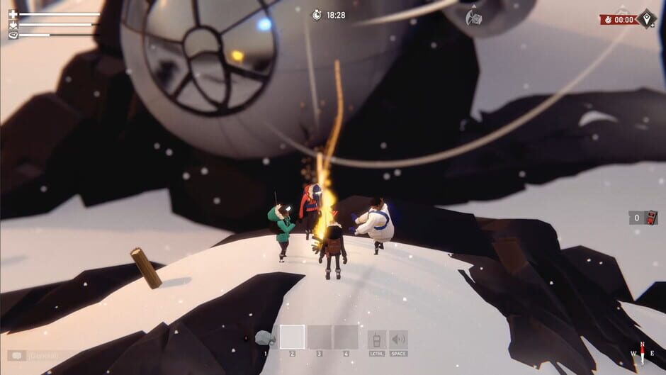 Capture de Project Winter