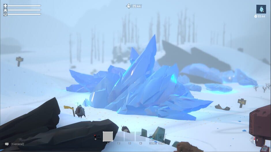 Capture de Project Winter
