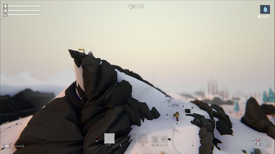 Capture de Project Winter