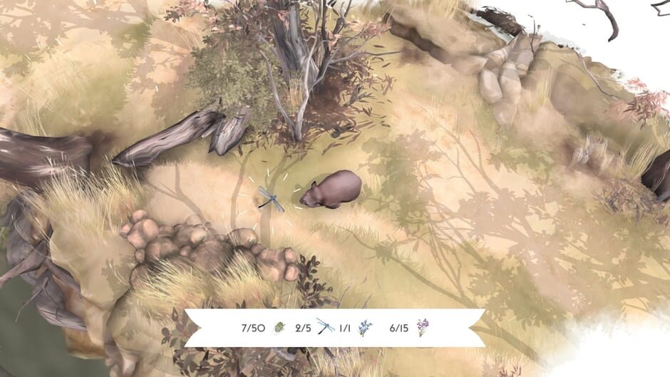 Capture de Paperbark