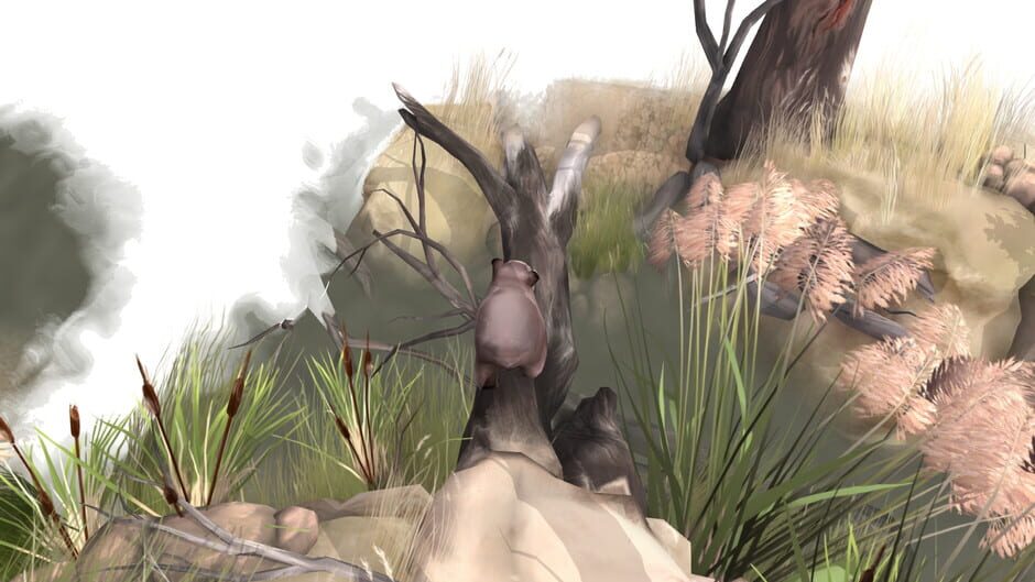 Capture de Paperbark