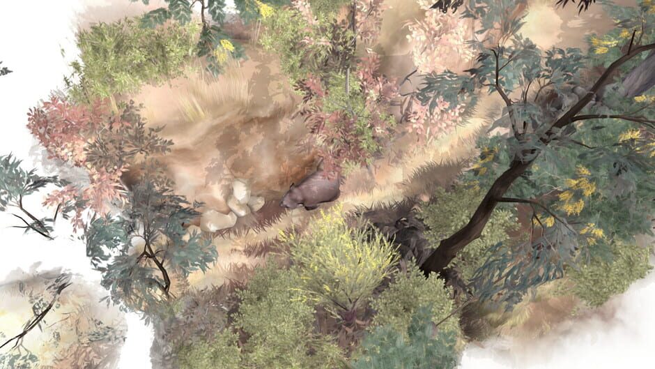 Capture de Paperbark