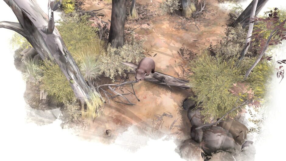 Capture de Paperbark