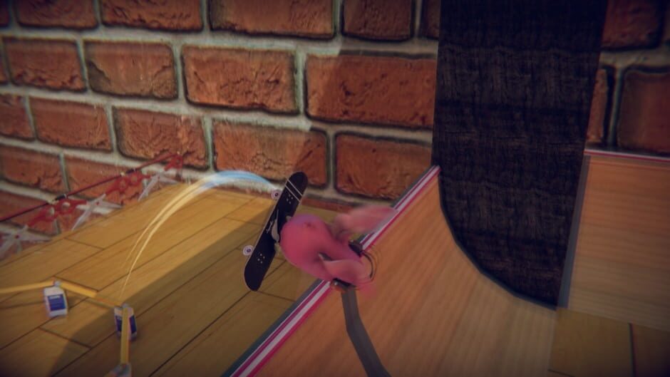 Capture de Skatebird