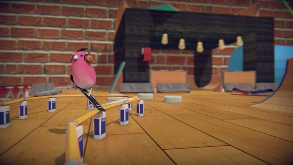 Capture de Skatebird
