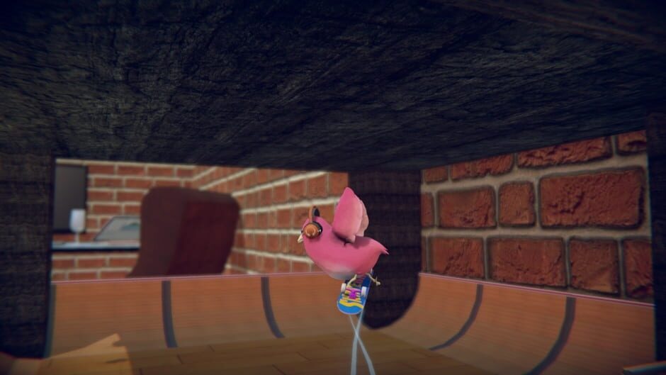 Capture de Skatebird