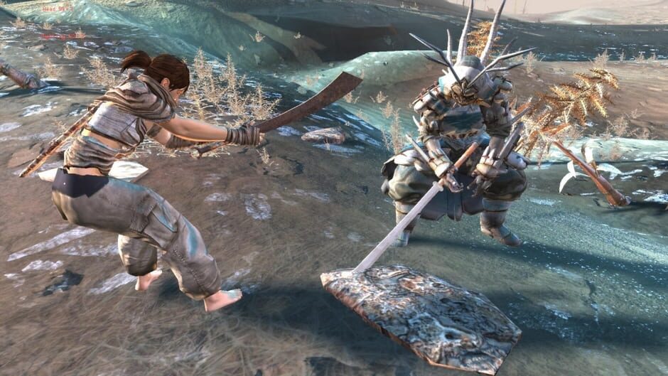 Capture de Kenshi