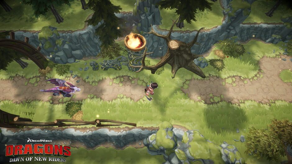 Capture de DreamWorks Dragons: Dawn of New Riders