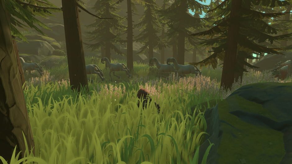 Capture de Pine