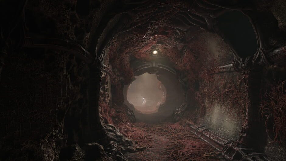 Capture de Scorn