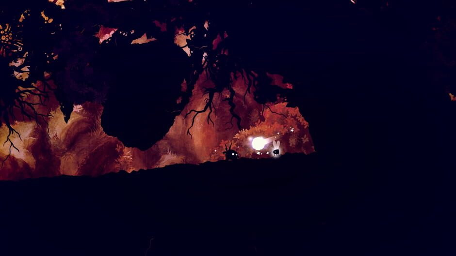 Capture de Shadow Bug