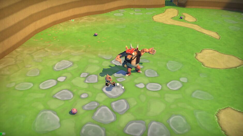 Capture de Raccoo Venture
