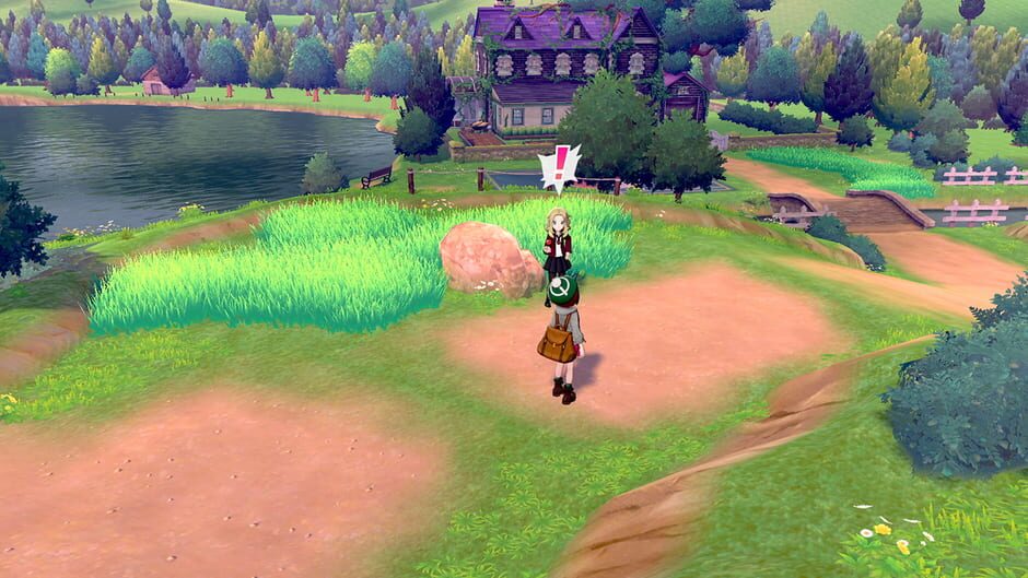 Capture de Pokémon Sword