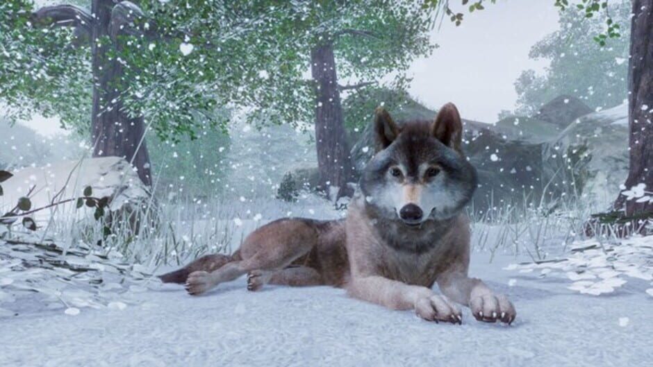 Capture de Planet Zoo