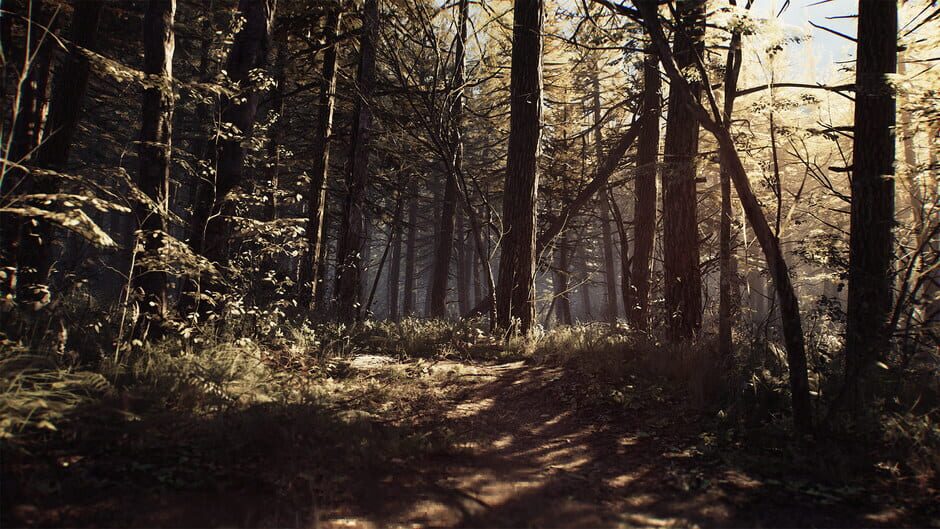 Capture de Blair Witch