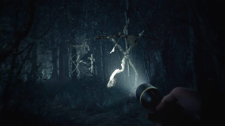 Capture de Blair Witch