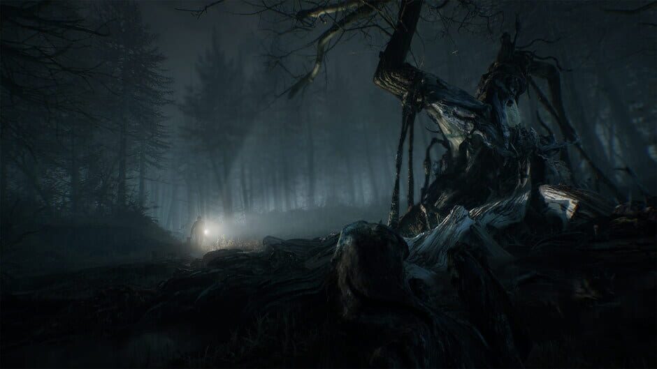 Capture de Blair Witch