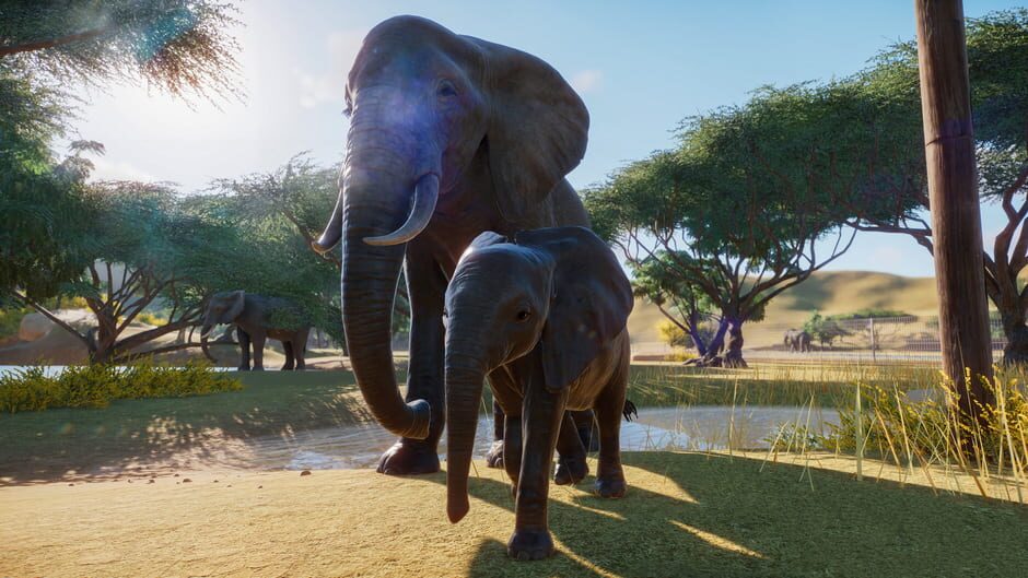 Capture de Planet Zoo