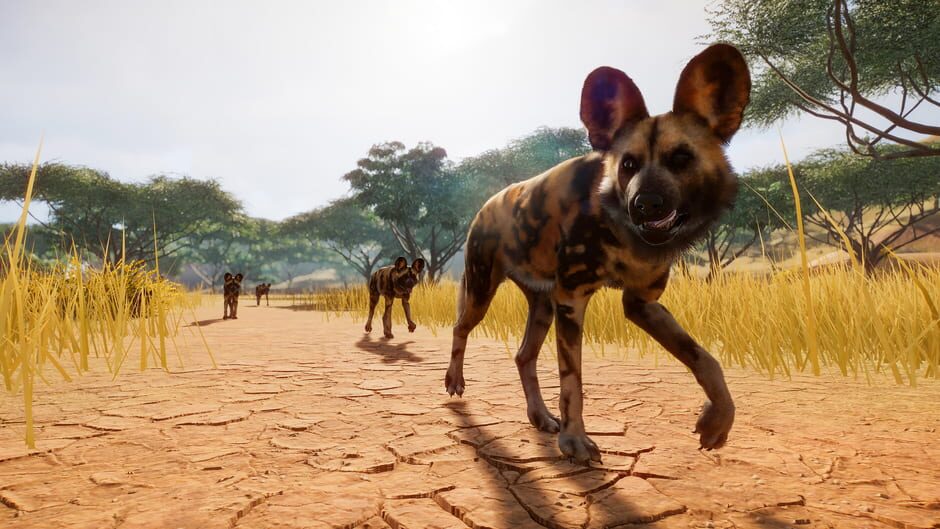 Capture de Planet Zoo