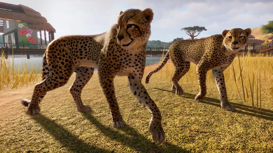 Capture de Planet Zoo