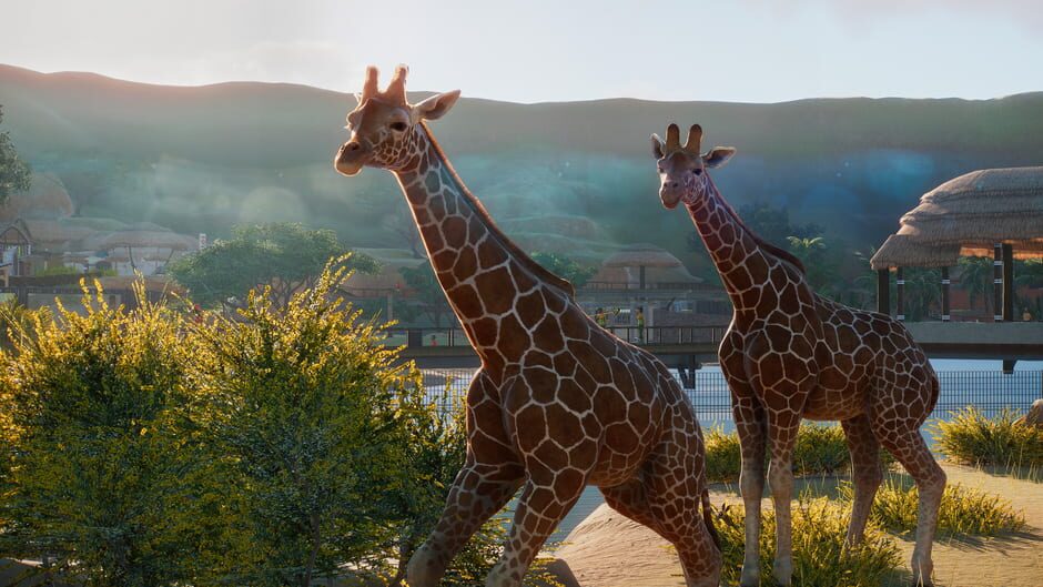 Capture de Planet Zoo