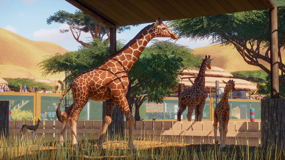 Capture de Planet Zoo