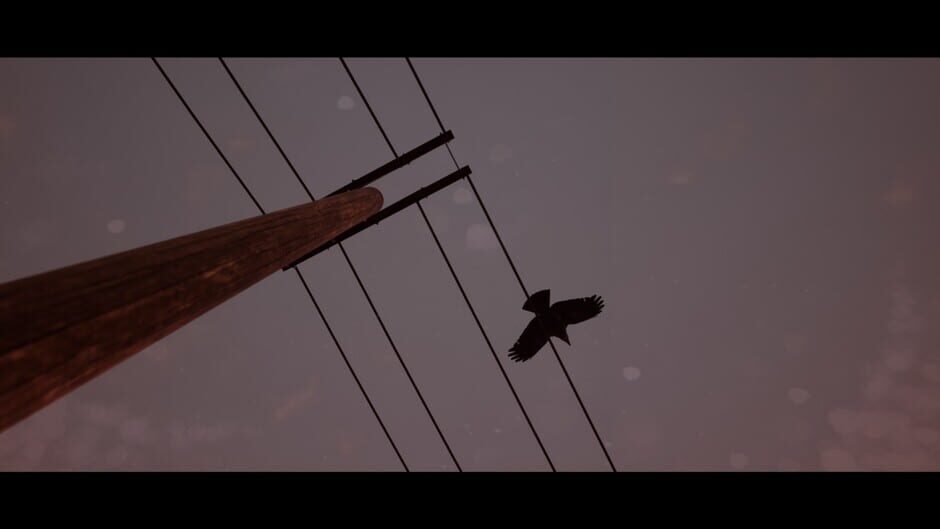 Capture d’Of Bird and Cage