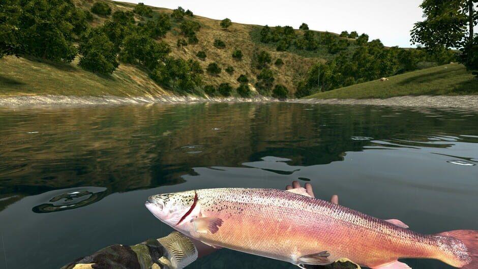 Capture d’Ultimate Fishing Simulator