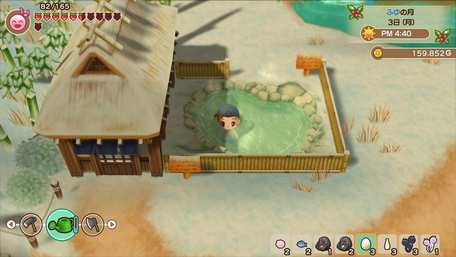 Capture de Story of Seasons: Friends of Mineral Town