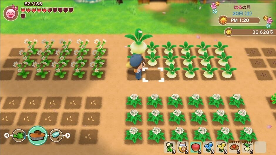 Capture de Story of Seasons: Friends of Mineral Town