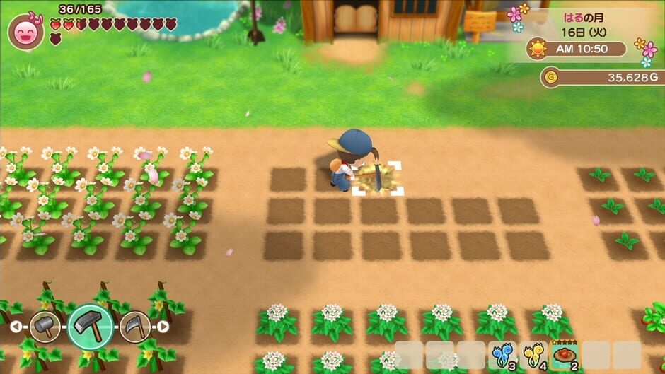 Capture de Story of Seasons: Friends of Mineral Town