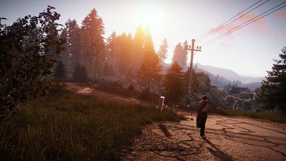 Capture de Rust
