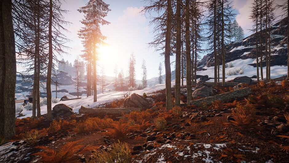 Capture de Rust