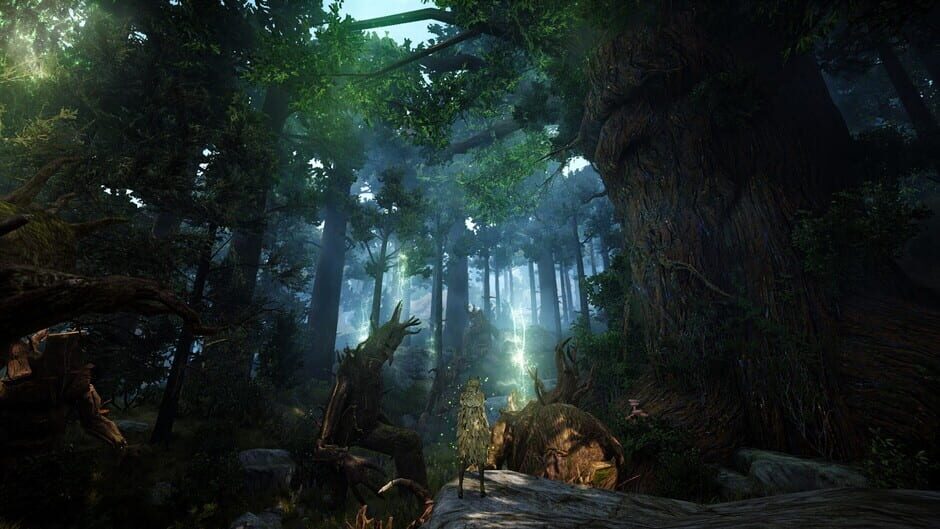 Capture de Black Desert
