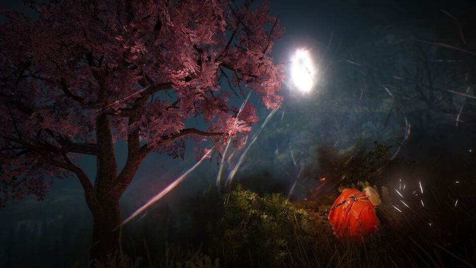 Capture de Black Desert